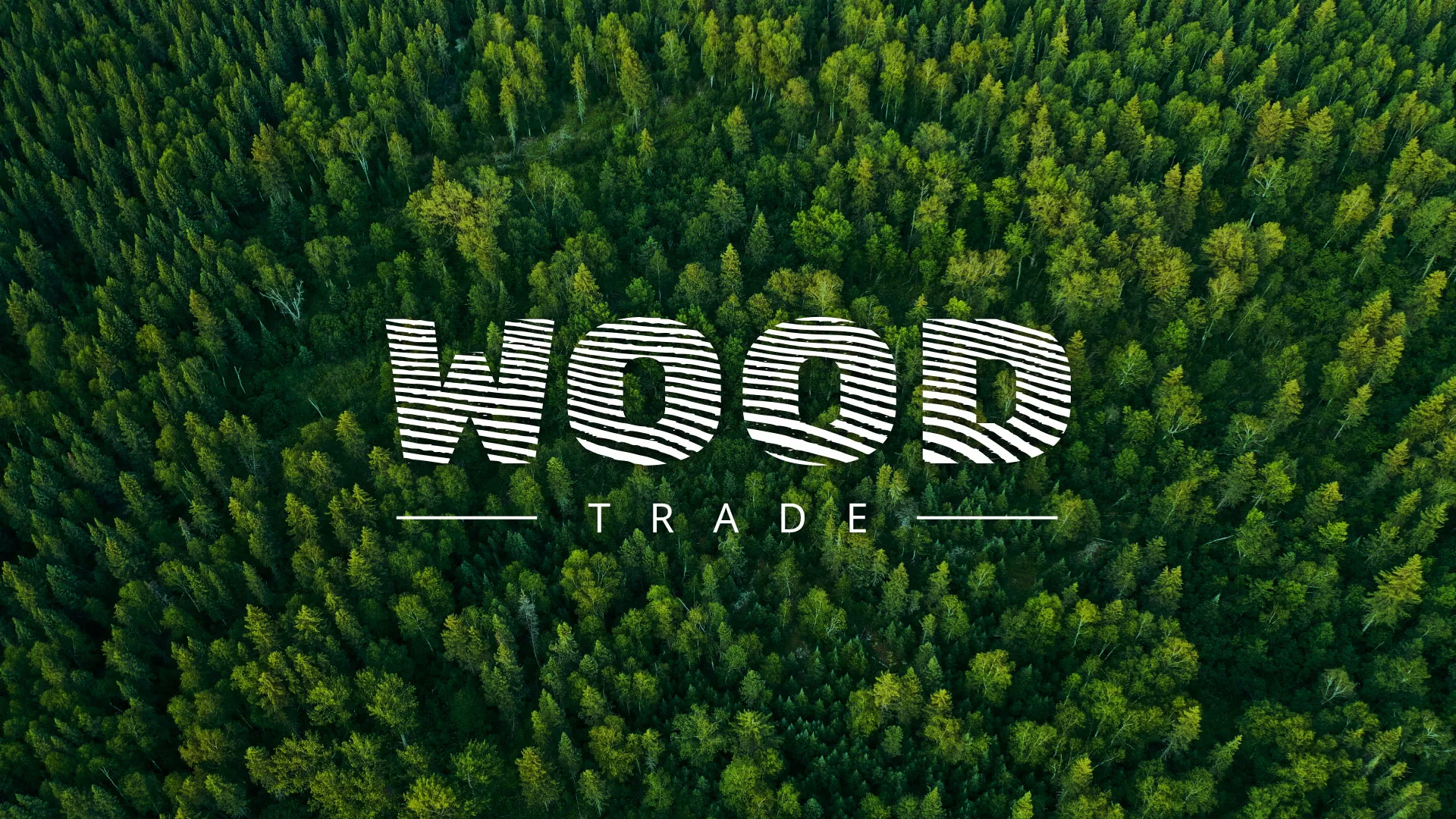 Разработка интернет-магазина компании «Wood Trade» в Ликино-Дулево